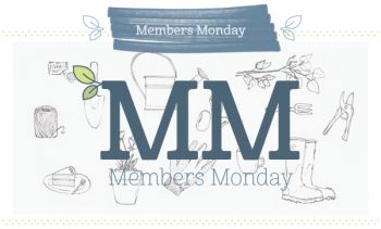 Members Monday means triple points!