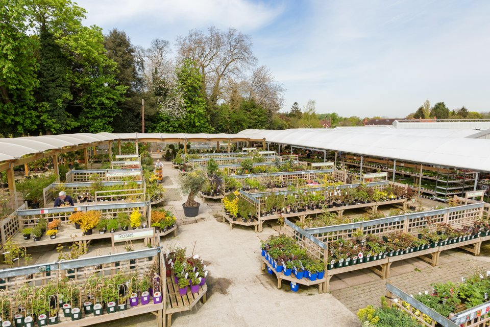 Ashtead Park Garden Centre in Surrey