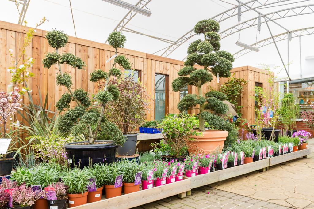 Ashtead Park Garden Centre - Plant Shop near London