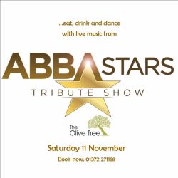 ABBA Stars Night