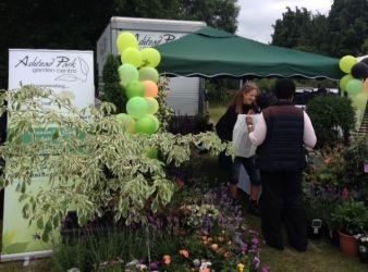Ashtead Village Day