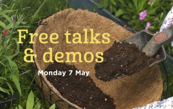 Beautiful Baskets Talk, Demo & Q&A