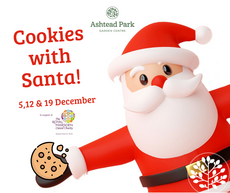 Cookies with Santa