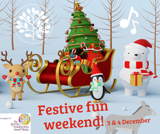 Santa & Festive Family Fun weekend 2022