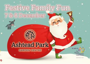 Festive Family Fun Weekend 2019