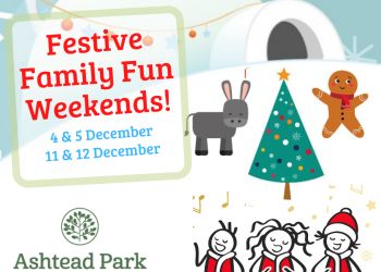 Festive Family Fun Weekends 2021