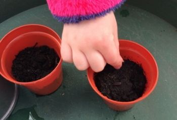 Kid's Seed Planting