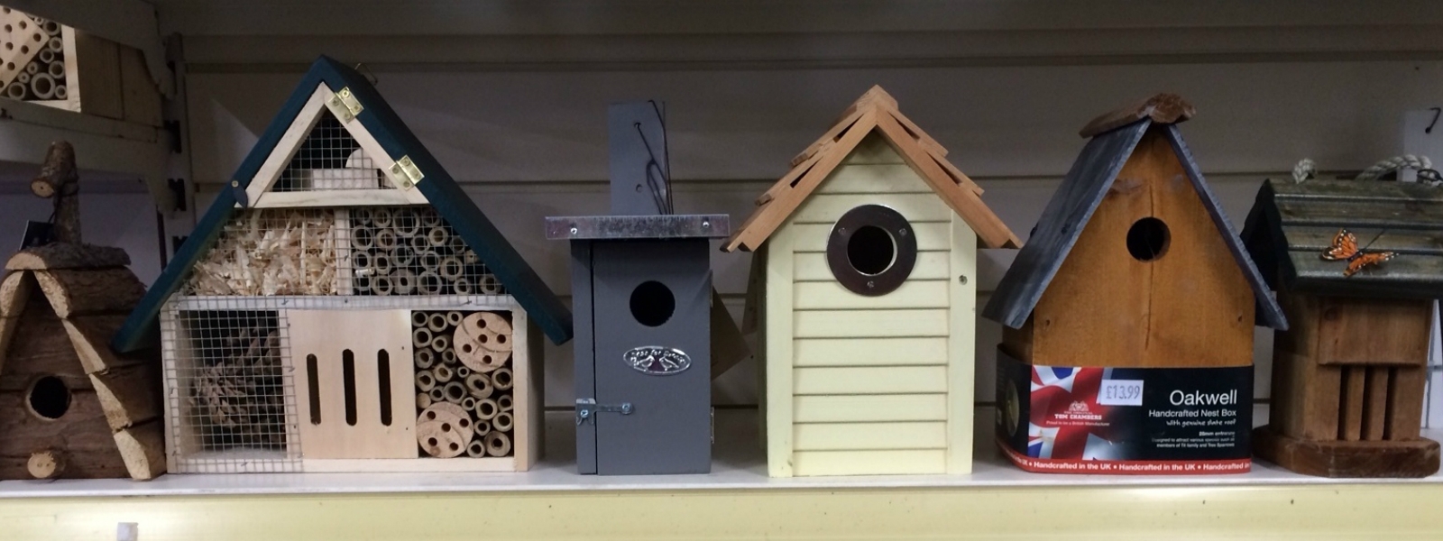 Make friends in the garden