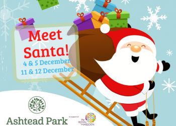Meet Santa