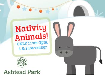 Nativity Animals - one weekend only!