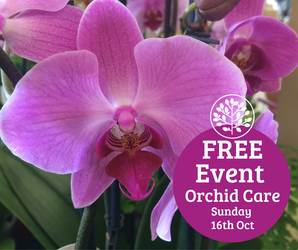 Orchid Care Talk