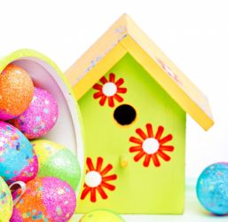 Paint Your Own Nestbox