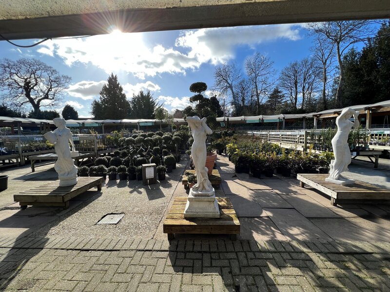 Chat to our team for planting suggestions!