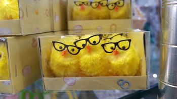 A cheery Easter