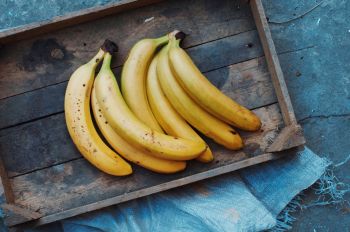 A gardener from Stockport, near Manchester, has grown ripe bananas