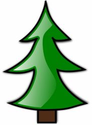 Christmas Tree booking!