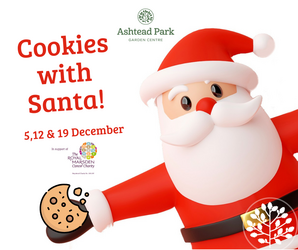 Cookies with Santa