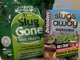 Eco-friendly pest control