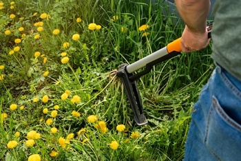 Everything you need to know about gardening tools