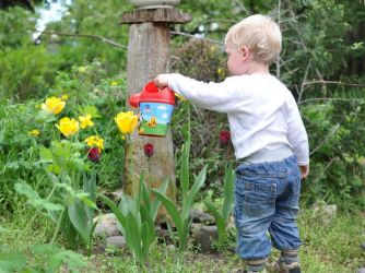 Get the kids involved in gardening