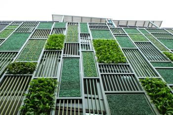 Green walls and roof gardens play a far greater part in improving city living