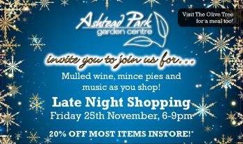 Late Night Shopping Event