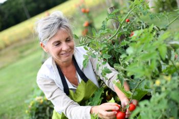 Spending just half an hour a day gardening could reduce your risk of heart attack by over 50%