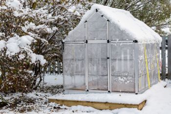 Work Off That Christmas Dinner by Giving your Greenhouse a Good Scrub
