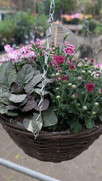 Autumn planting