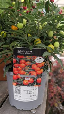 Autumn planting