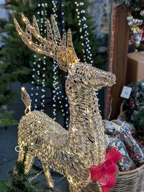 Christmas shop taster 2025