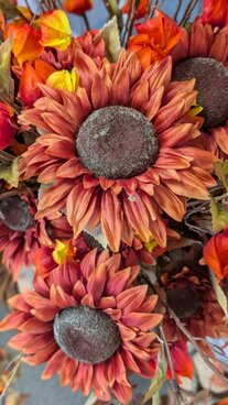Cosy autumn gifts & homes