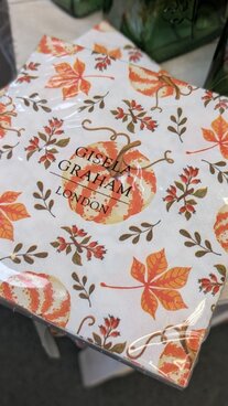 Cosy autumn gifts & homes