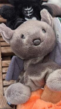 Cosy autumn gifts & homes