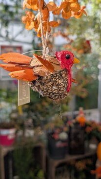Cosy autumn gifts & homes