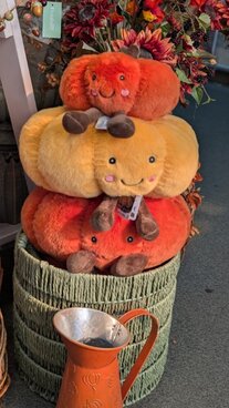 Cosy autumn gifts & homes