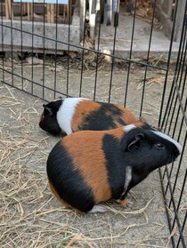 Festive Family Fun 2025