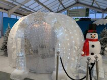 Festive Family Fun 2025