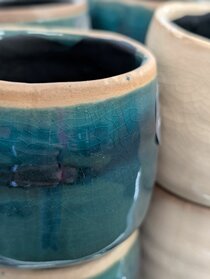 Houseplants and pot covers