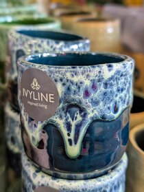 Houseplants and pot covers