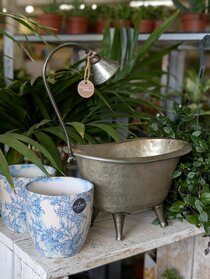 Houseplants and pot covers