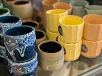 Houseplants and pot covers