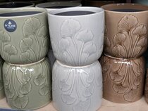 Houseplants and pot covers