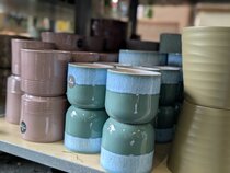 Houseplants and pot covers