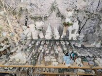 Snowberries and snowdrops