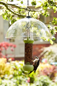 Loktop Bird Feeders & Squirrel Baffles