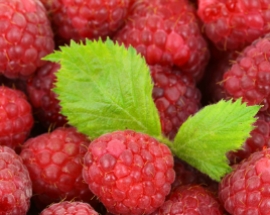 Raspberries