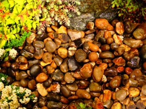 River Pebbles