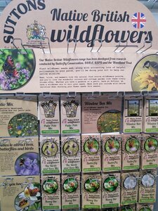 Suttons Native British Wildflowers