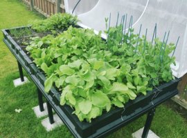 Vegepod will revolutionise your growing!